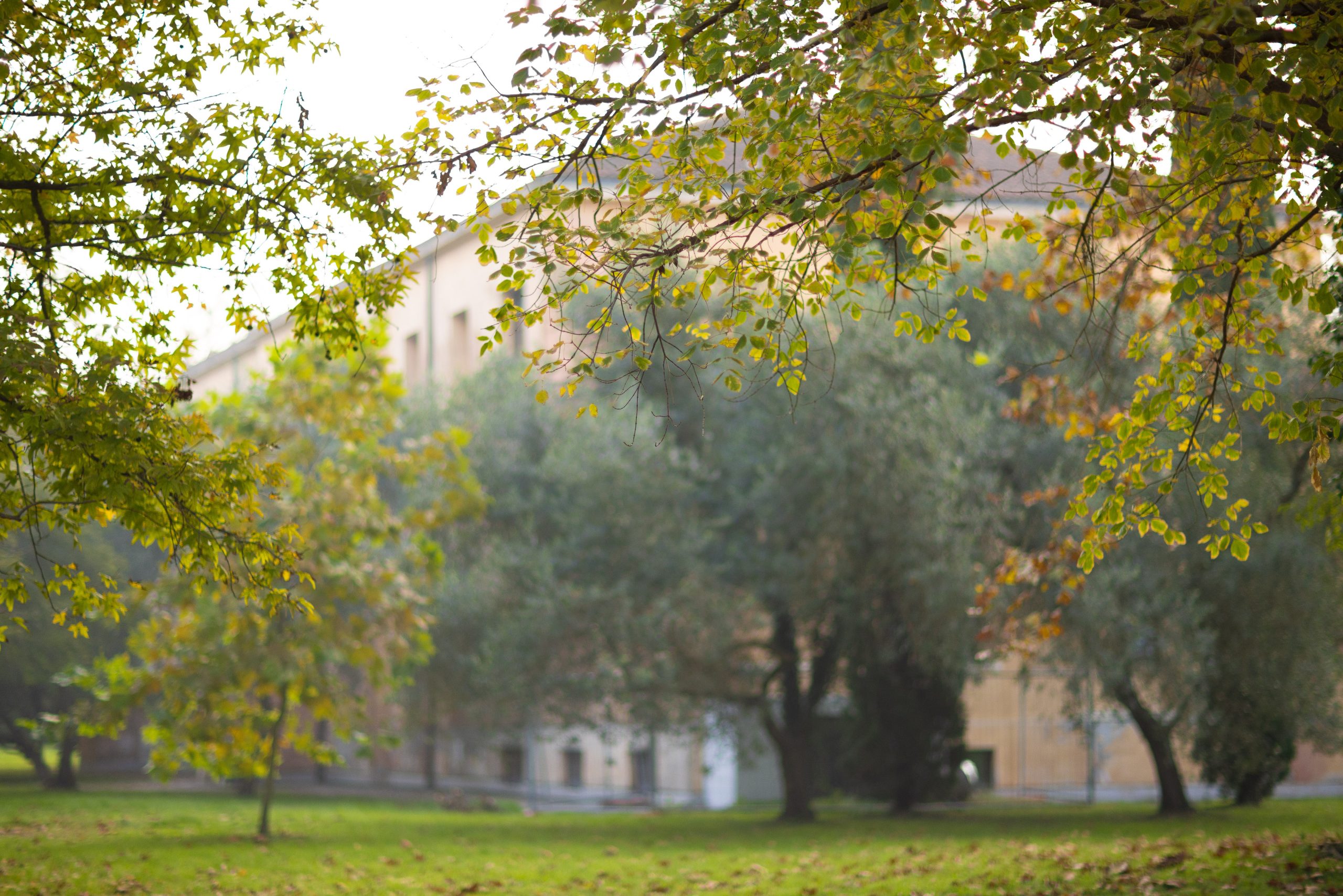 Palazzina Scirocco nel parco di San Servolo Parco con alberi secolari e scorcio della Palazzina Scirocco, Isola di San Servolo a Venezia.